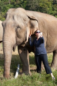 Elephant Nature Park: The Happiest Place on Earth!